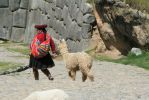 PICTURES/Cusco Ruins - Sacsayhuaman/t_Local Color2.JPG